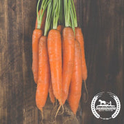 Carrot Seeds - Bambino (Organic)