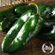 Pepper Seeds - Hot - Ancho Grande (Organic)