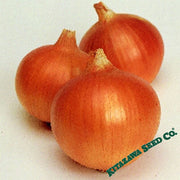 Onion Seeds - Short - Superex Yellow Hybrid