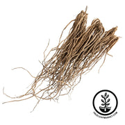 Jersey Giant Asparagus Crowns Bare Roots