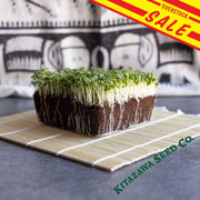 Cabbage - Pak Choi White Stem - Microgreens Seeds