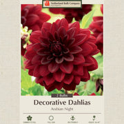 Dahlia Bulbs - Arabian Night