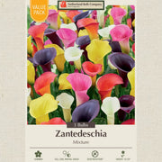 Calla Lily Bulbs - Mixture