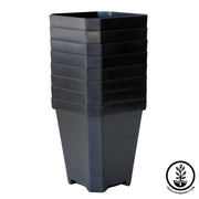 Pot Bootstrap 5 inch black stack 8