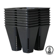 4 Cell Plug Black 8 Stack 