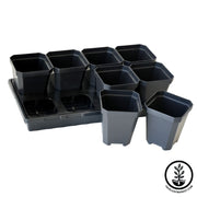 Growing Kit 5 inch pots tray insert With White Background 