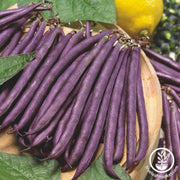 Bean Seeds - Pole - Purple Podded