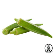 Emerald Okra on white background