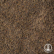 California Poppy Seeds - Mission Bells - Clearance Seeds