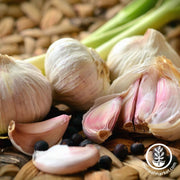 Mennonite garlic bulbs
