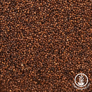 Tobacco Seeds - Silver River - Clearance Seeds