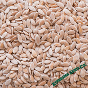 Melon Seeds - Oshiro Uri Numane - Clearance Seeds