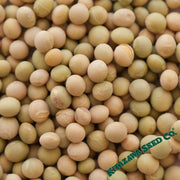 Soy Bean Seeds