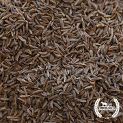 Caraway Seeds (Organic) - Clearance Seeds