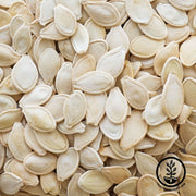 Close-up of pumpkin seeds 