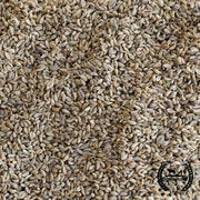 Parsley Seeds - Plain or Single (Organic) - Clearance Seeds