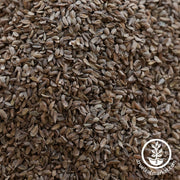 Close-up of carrot seeds