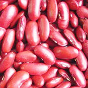 Bean Seeds - Bush - Dark Red Kidney