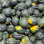 Stack of green acorn squash with some having yellow undertones.