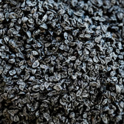 Leek Seeds - Carentan - Clearance Seeds