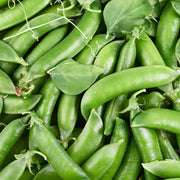 multiples peas with leaves
