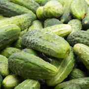 multiple green cucumbers