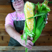 Corn Seeds - Sweet - Inspiration Hybrid