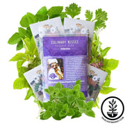 Organic Seed Assortment - 4 Variety Herb Collection