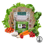 9-Variety-Herb-Vegetables-Collection-for-Beginners