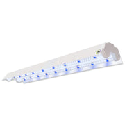 Active Grow Dual T8 2Ft LED Mushroom Grow Light Blue Sun Full Spectrum