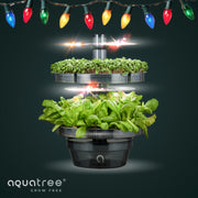 Aquatree tabletop with christmas lights black friday promotion