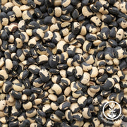 Bean-Bush-Phenomenal-Cowpeas-Seeds