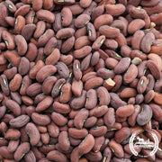 Bean Seeds - Red Noodle Yard Long (Organic) - Clearance Seeds