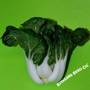 Cabbage Seeds - Pak Choi - Canton White