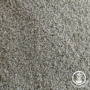 Chamomile Seeds - German - Clearance Seeds