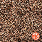 Collard Seeds - Vates - Clearance Seeds up close