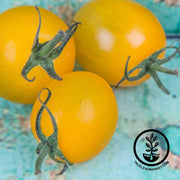 Tomato Sunsugar Hybrid Seed