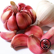 Garlic Bulbs - Hardneck - German Red Bulb