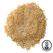 Flax Seeds - Golden