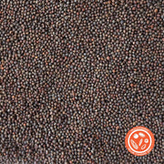 Kohlrabi Seeds - Purple Vienna (Organic) - Clearance Seeds up close