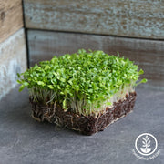 Lettuce-Mixed-Greens-Mesclun