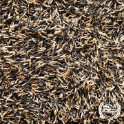 Marigold Seeds - African - Cracker Jack Mix (Organic) - Clearance Seeds