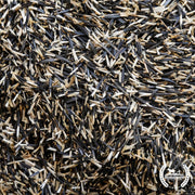 Marigold Seeds - Cracker Jack Mix (Organic) - Clearance Seeds