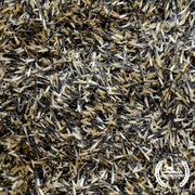 Marigold Seeds - Starlight Mix (Organic) - Clearance Seeds