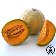 Melon Honey Rock