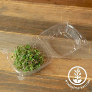 Microgreens Containers - Plastic Microgreens Clamshells Large With Grown Microgreens