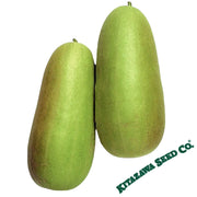 Oshiro-Uri-Numane-Melon-Pickling