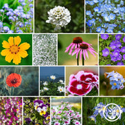 Wildflower Seeds - Partial Shade Mix Collage