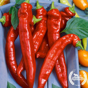 Pepper Seeds - Hot - Hot Portugal (Organic)