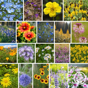 Western Pollinator Flower Seeds Mix Collage